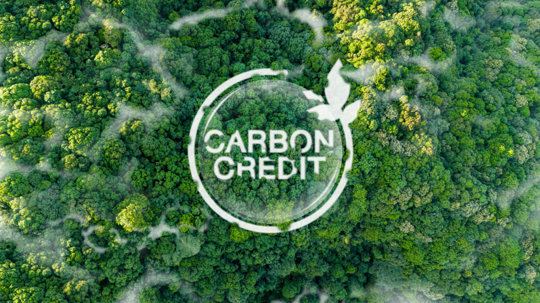NKITA sovereign-grade carbon reserve